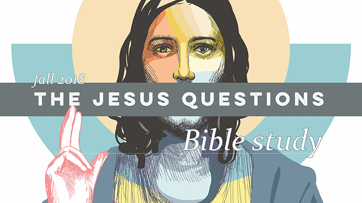 Jesus Questions Bible study banner
