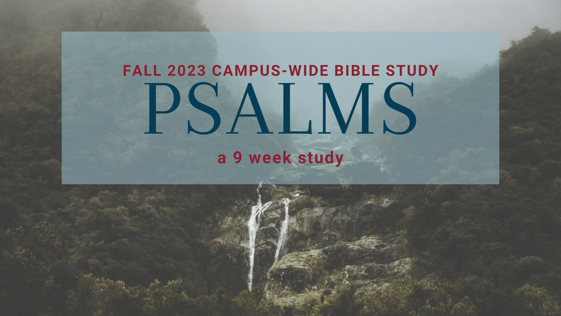 Psalms Bible study banner