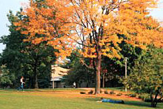 campus image