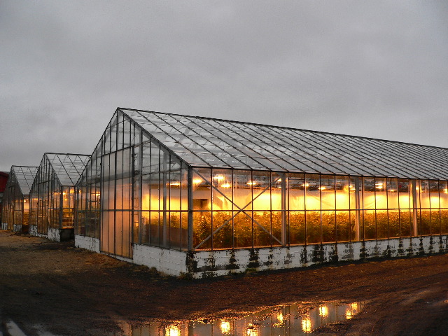 Greenhouses Closeup