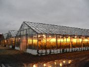 Greenhouses Closeup