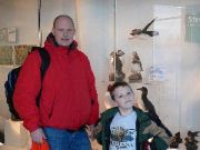 Puffins at the museum