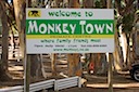 Let Me Take You To ... Monkey Town