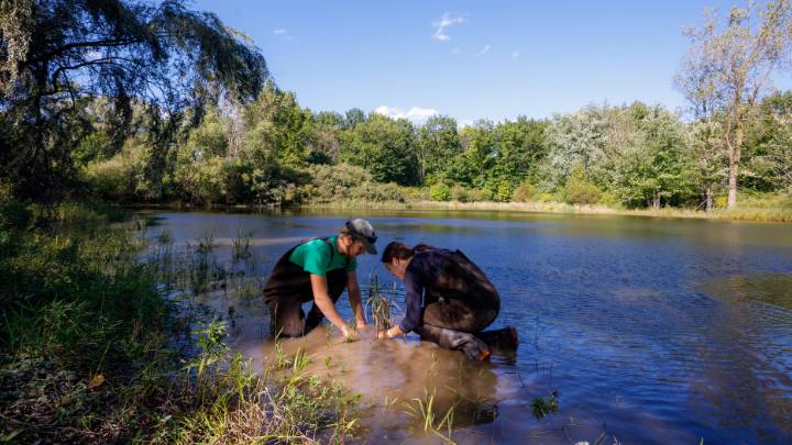 Student research assistants.